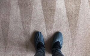 carpet cleaning